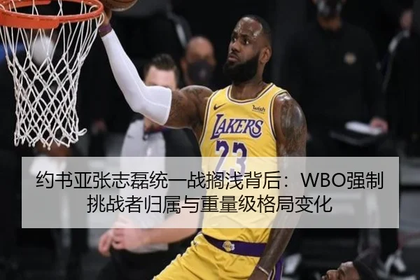 约书亚张志磊统一战搁浅背后：WBO强制挑战者归属与重量级格局变化