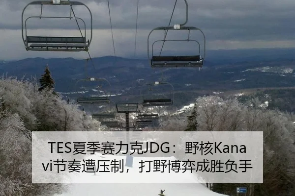 TES夏季赛力克JDG：野核Kanavi节奏遭压制，打野博弈成胜负手